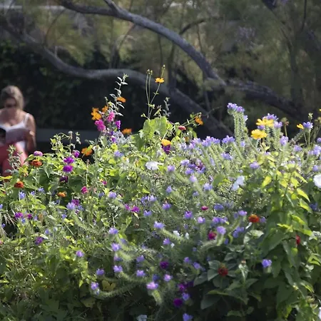 Villa Juno - Saint-Aubin-Sur-Mer - Chambres D'Hotes - Normandie - Plage Debarquement 3* סנט-אובן-סור-מר