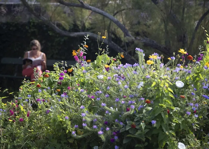 Juno - Saint-aubin-sur-mer - D'hotes - Normandie - Debarquement 3* Saint-Aubin-Sur-Mer (Calvados)